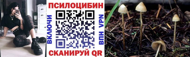 Галлюциногенные грибы прущие грибы  Купить закладки  Белорецк 
